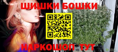 прущие грибы Новодвинск