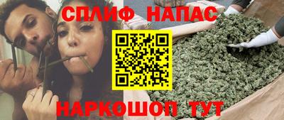 ECSTASY Новозыбков