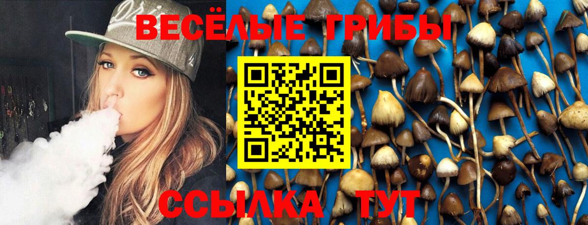 Галлюциногенные грибы GOLDEN TEACHER Кинешма